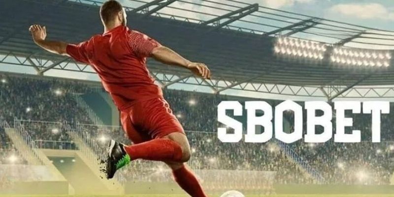 Sbobet RR88 ra mắt mang đến nhiều trải nghiệm thú vị